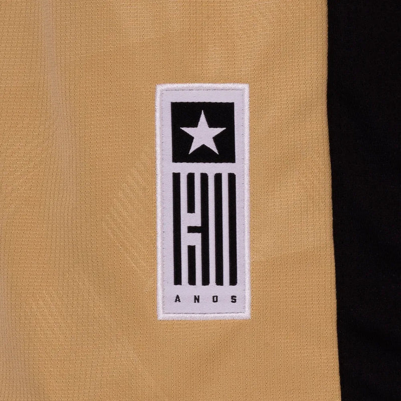 Camisa Botafogo Goleiro 2024/25 Masculina - Dourada