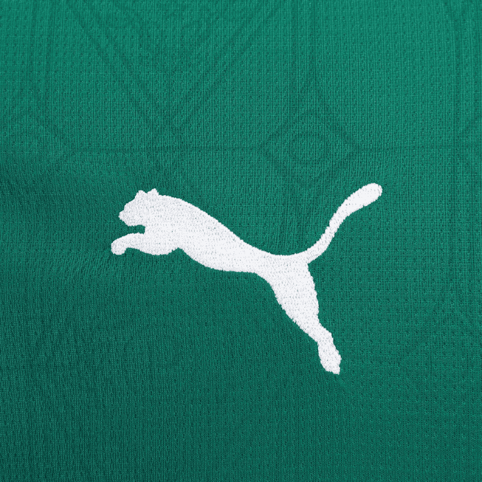 Camisa Palmeiras 2025/26 I