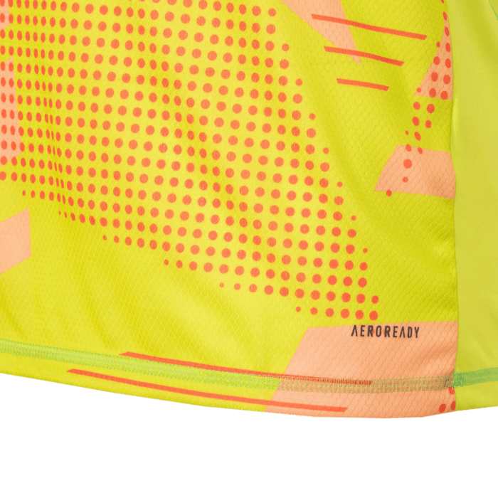 Camisa Flamengo Goleiro 2025/26 Adidas Masculina - Amarelo
